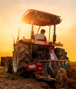 Agriculture